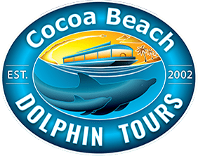 dolphin tours cocoa beach florida