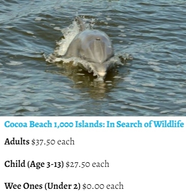Cocoa Beach 1,000 Islands: In Search of Wildlife