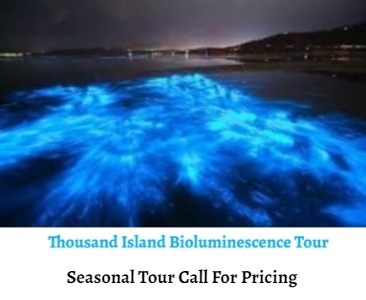 Thousand Island Bioluminescence Tour