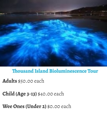 prices