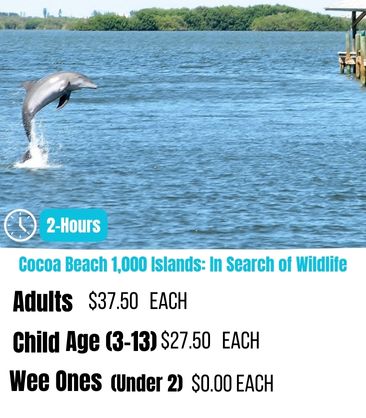 Cocoa Beach Dolphin Tours 1,000 Islands Tour