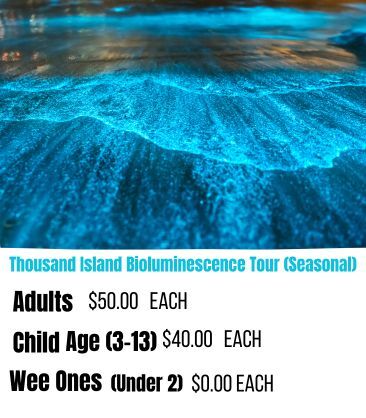 bioluminescent