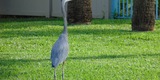 FIELD TRIP ON THE LAGOON