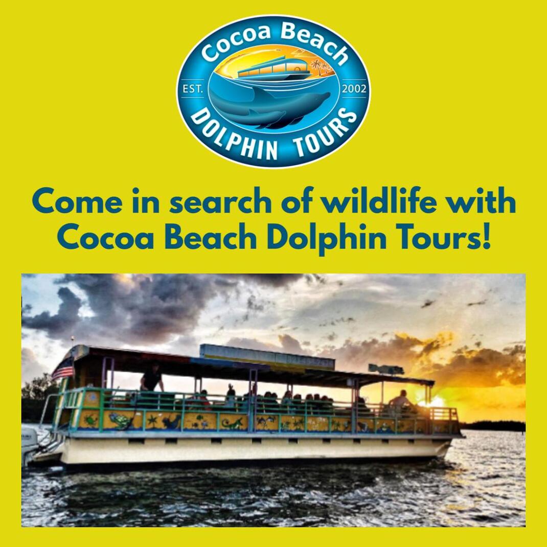 dolphin tours cocoa beach florida