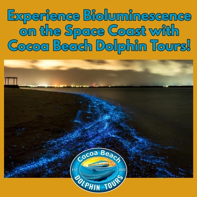 Bioluminescence has arrived in Florida!