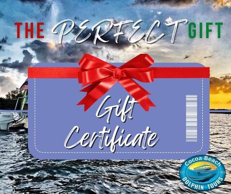 Purchase a Cocoa Beach Dolphin Tours gift certificate for your loved ones this holiday season.