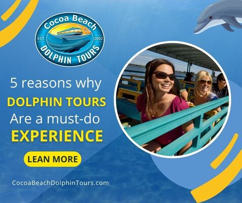 The Top 5 Reasons Why Dolphin Tours are a Must-Do Experience.