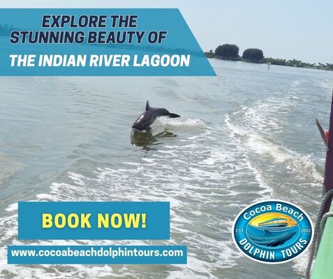 Explore the Indian River Lagoon with Cocoa Beach Dolphin Tours.