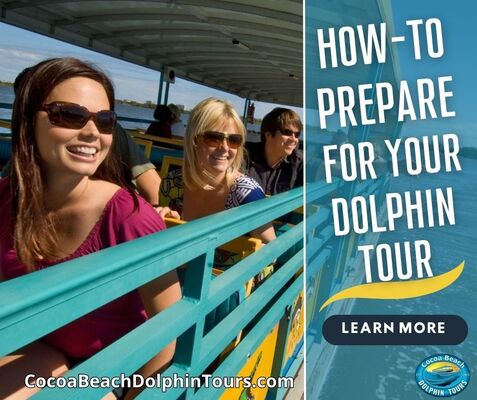Five Ways to Prepare for Your Next Tour with Cocoa Beach Dolphin Tours.