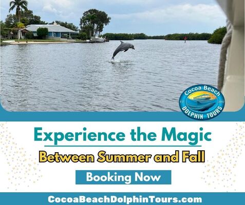 Experience the Magic Between Summer and Fall in Cocoa Beach’s Thousand Islands.