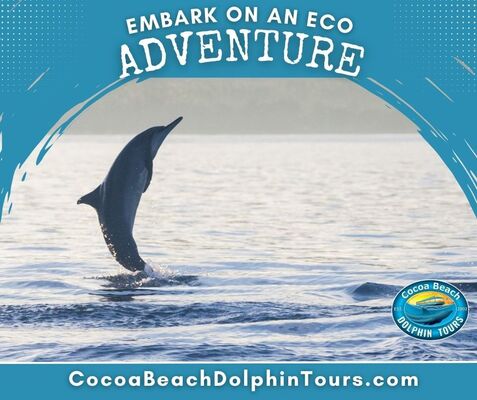 Embark on an Eco-Adventure with Cocoa Beach Dolphin Tours!
