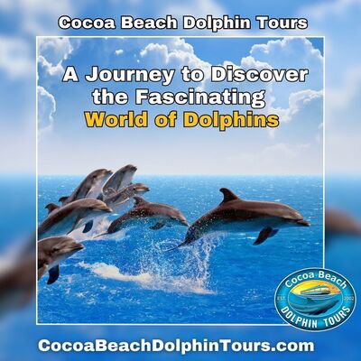 Cocoa Beach Dolphin Tours: A Journey to Discover the Fascinating World of Dolphins